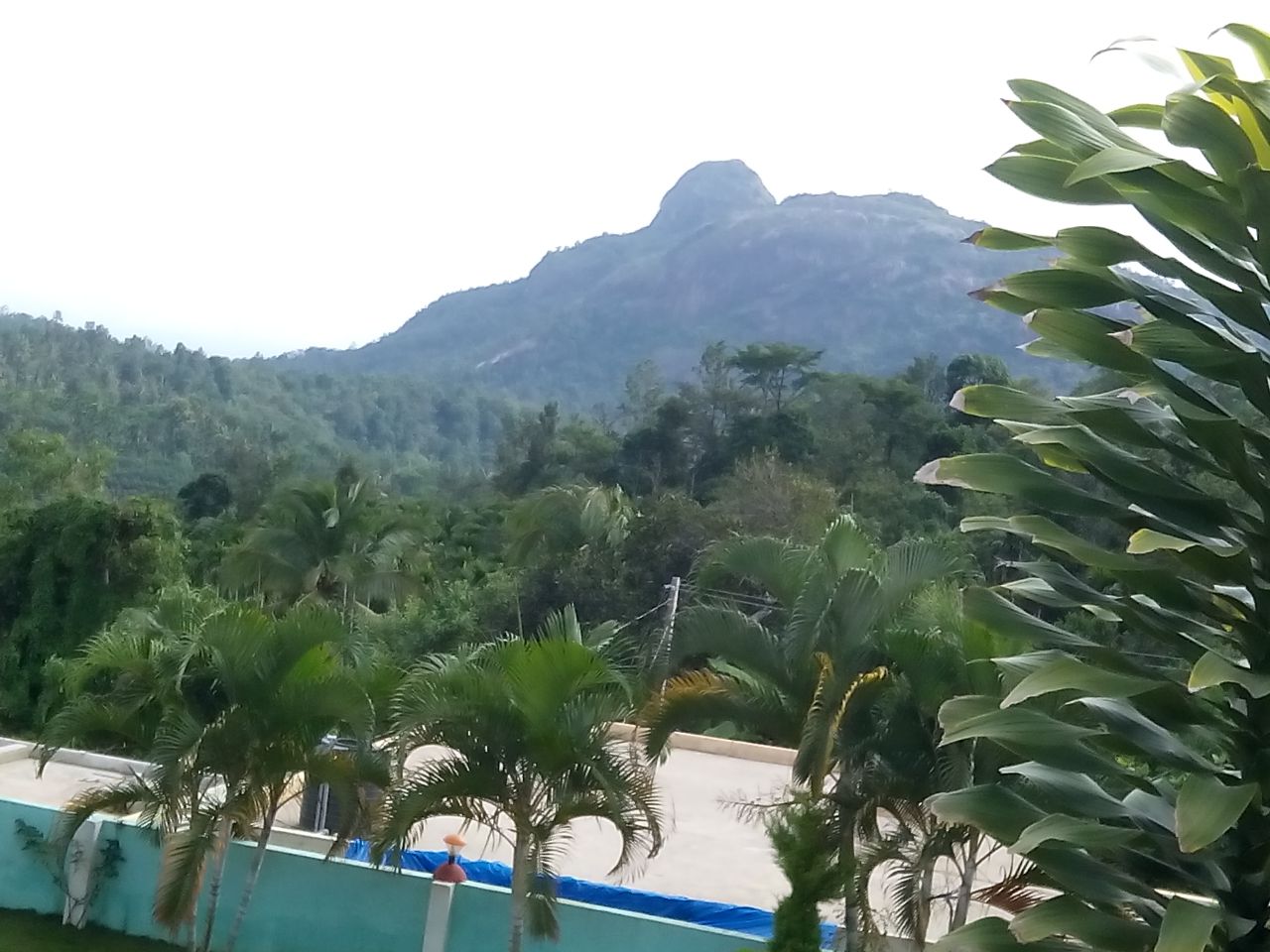 WAYANAD HOME - Tap to explore photos