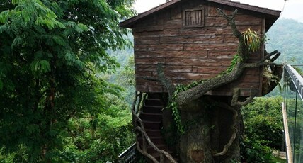 Munnar Flowerwind Suitz Room Type - Tree House