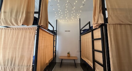 Social Monkey Room Type - Bed in 4-Bed Mixed Dormitory Room