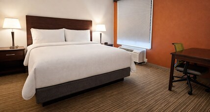 Holiday Inn Express & Suites Winner, an IHG Hotel Room Type - 1 King Standard