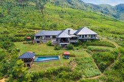 Camellia Hills