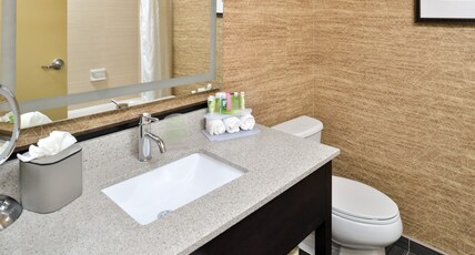 Holiday Inn Express & Suites PEEKSKILL-LOWER HUDSON VALLEY Room Type - Standard Room