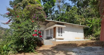 Waterlily Cotage Room Type - Waterlily Cotage