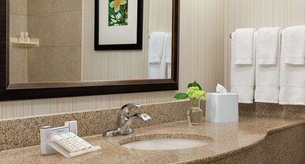 Hilton Garden Inn Saskatoon Downtown Room Type - 1 KING BED CITY VEW