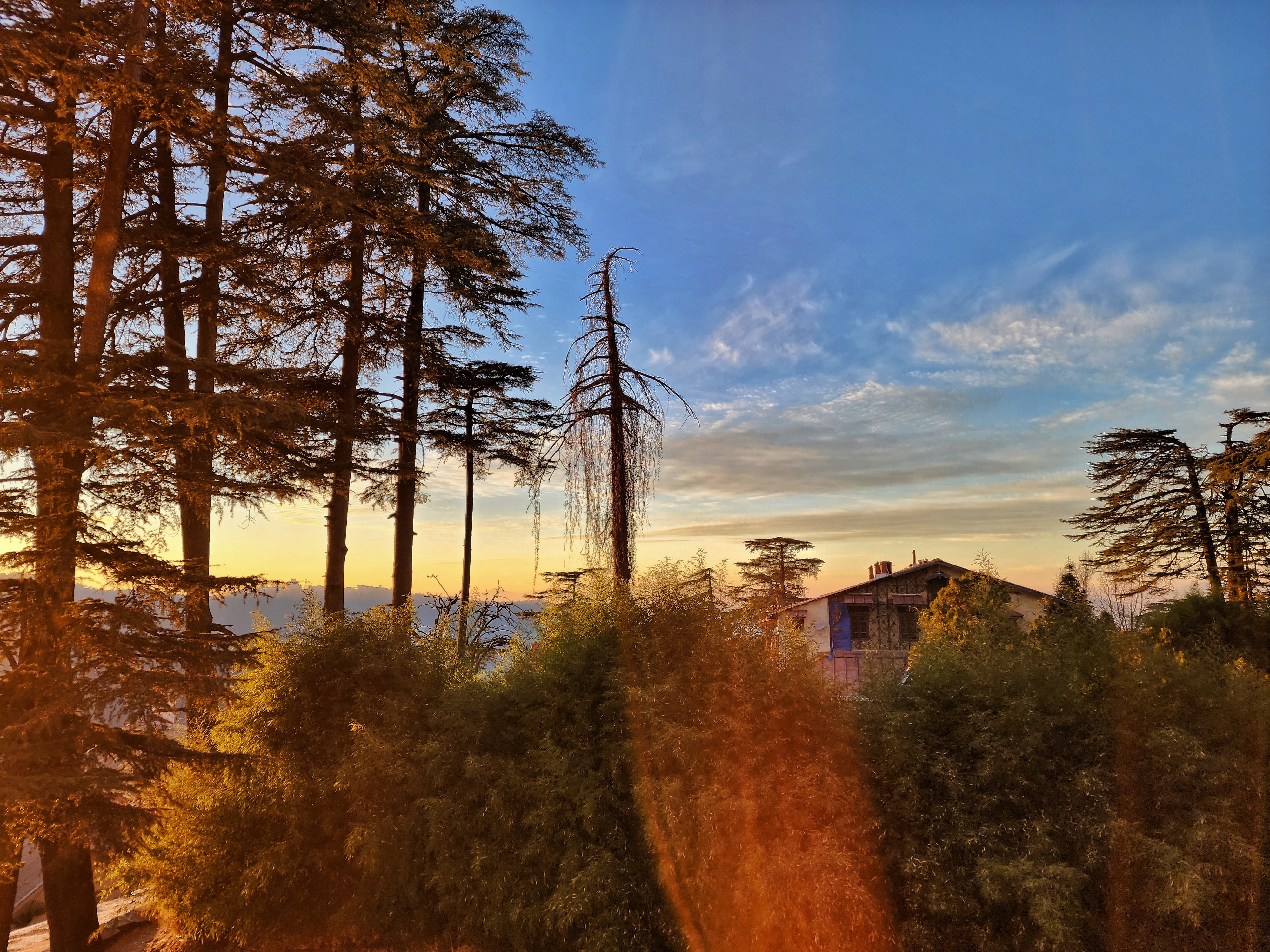 Pineview shimla near mall road - Tap to explore photos