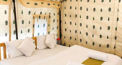 Town front camping Room Type - Room 101