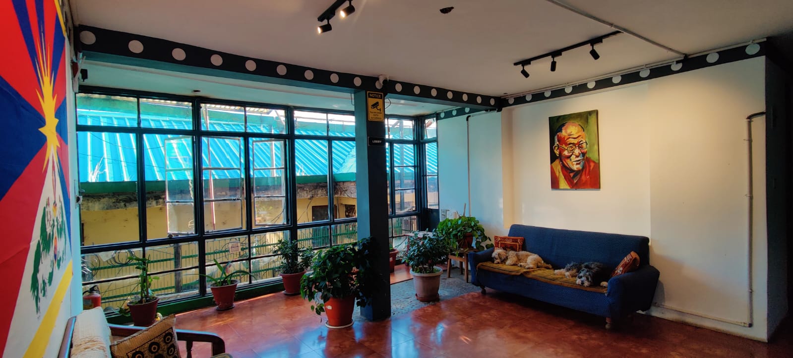 Main gallery