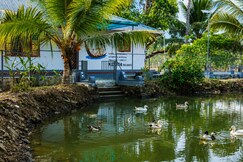 Kudaram Lake View