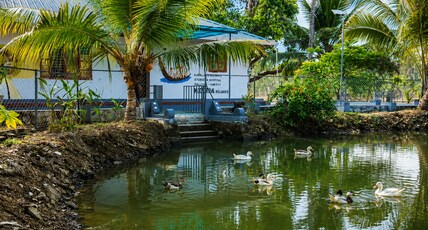 Kudaram Lake View Room Type - Kudaram Lake View