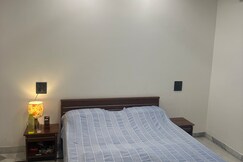 Luxury Apartment near airport  vasant kunj