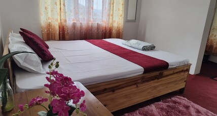 The Cozy Nest Jungle Farm Room Type - Bedroom 3
