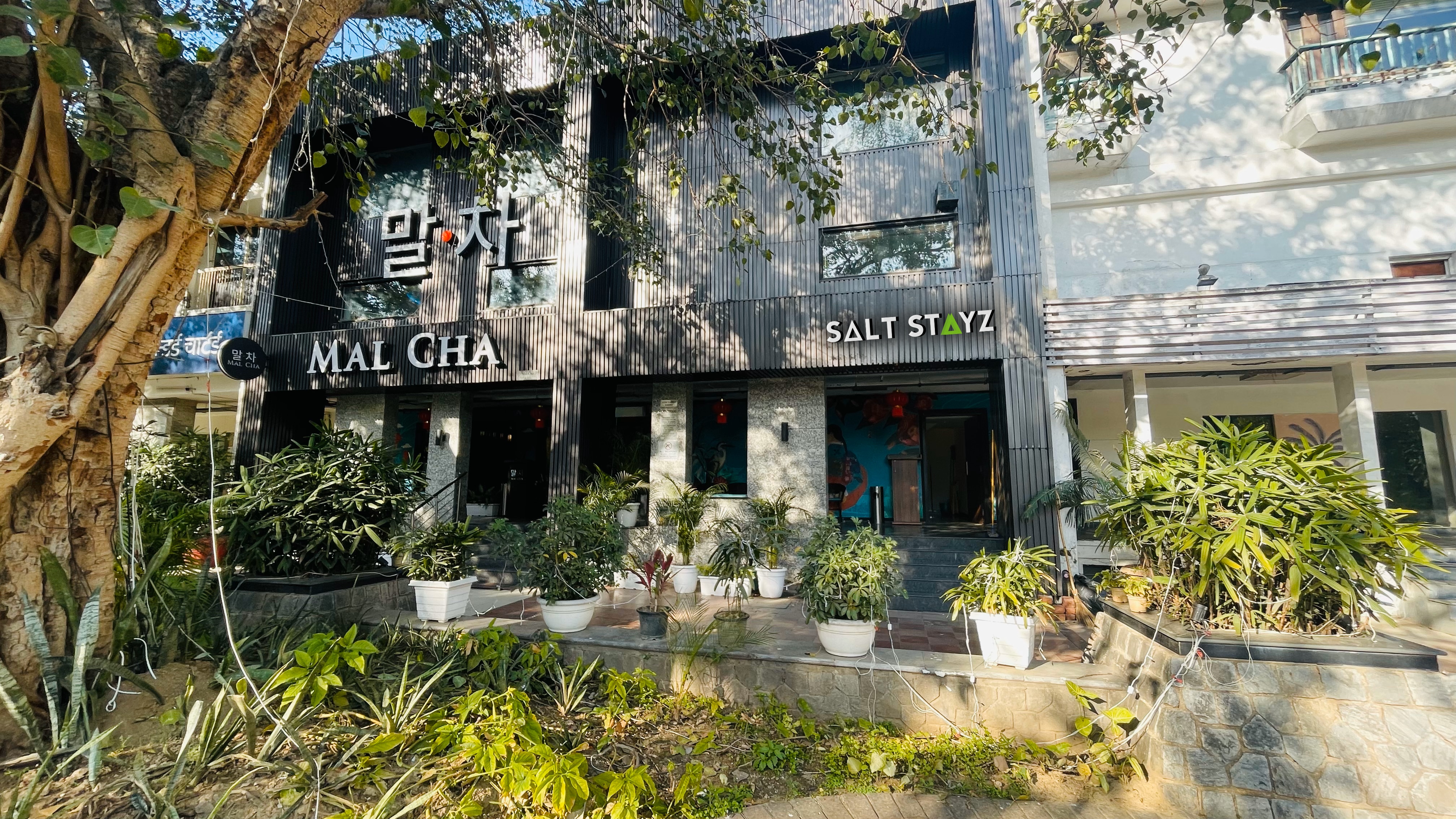 Main gallery