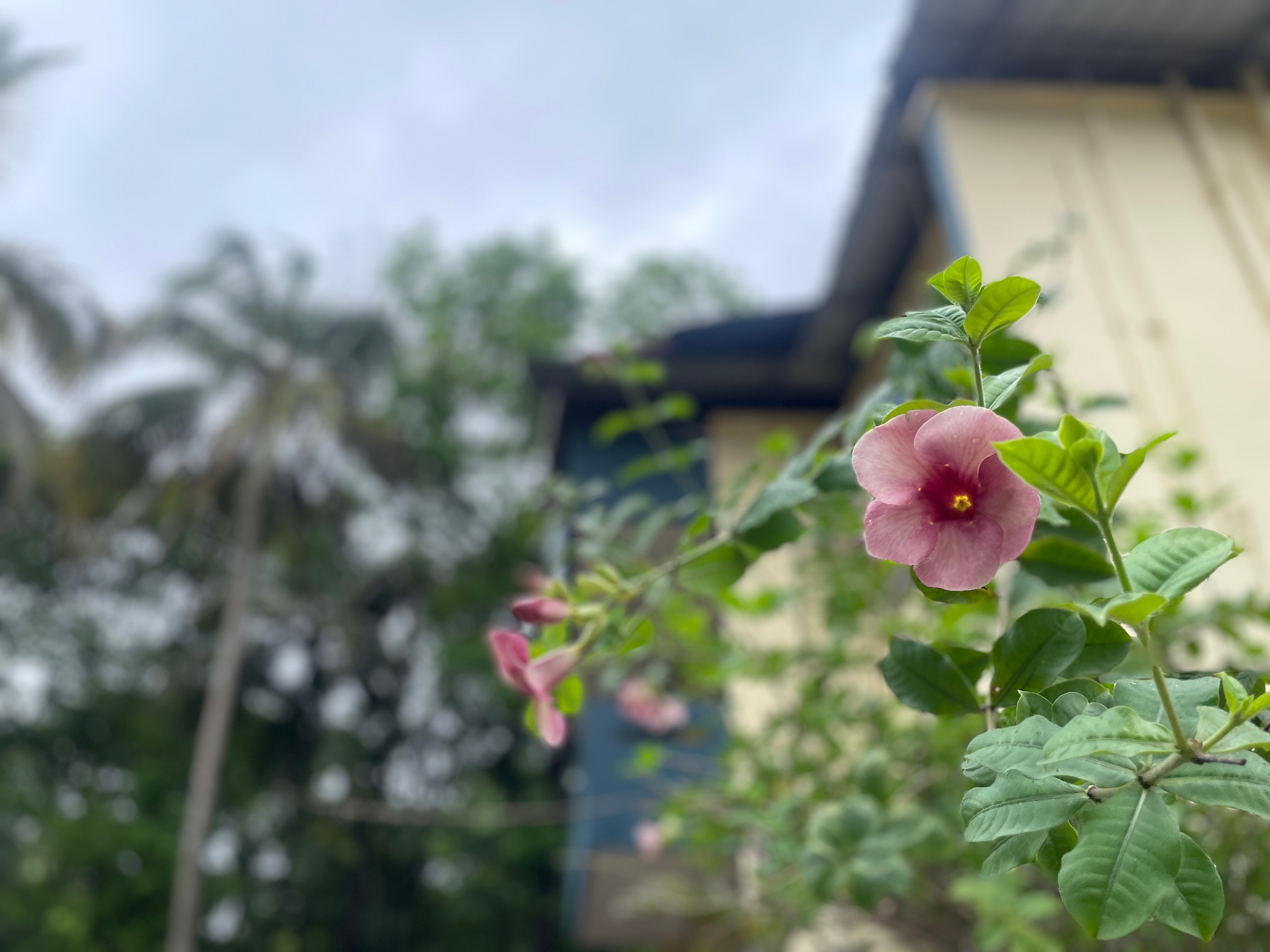 Government Youth Hostel Kochi - Tap to explore photos