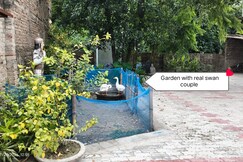 Photos of Nature Nest Homestay