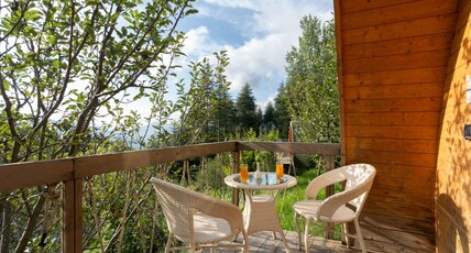 Nirvana Dhar Nature Resort Room Type - POD Cottage 