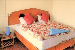 Eco Traveller Cottage Pangong