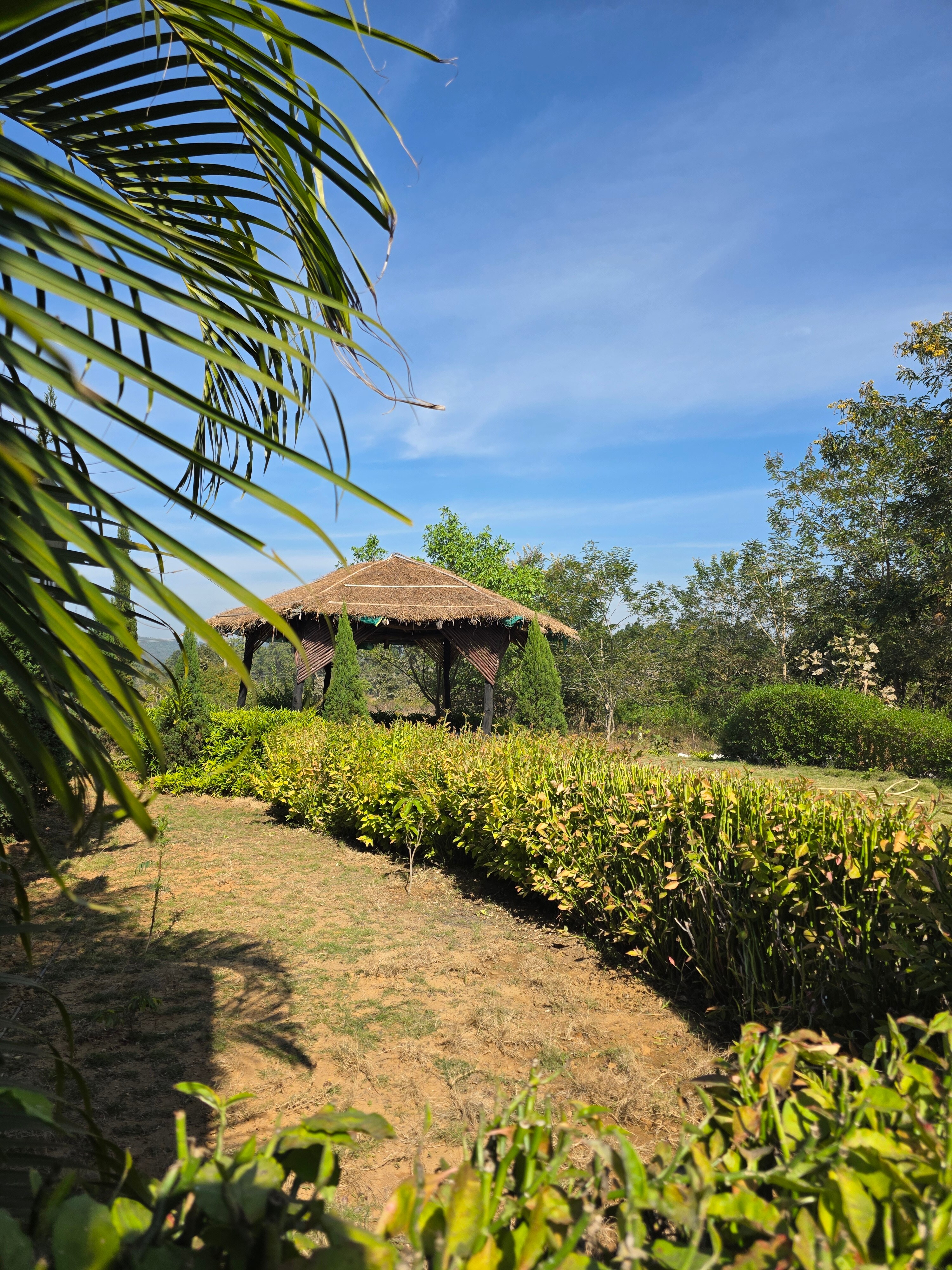Shahvilla Resort, Kanha - Tap to explore photos