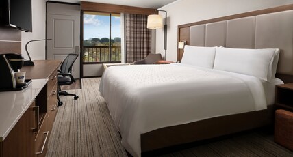 Holiday Inn Express AT MONTEREY BAY Room Type - 1 Double Bed Mobil Access Tub
