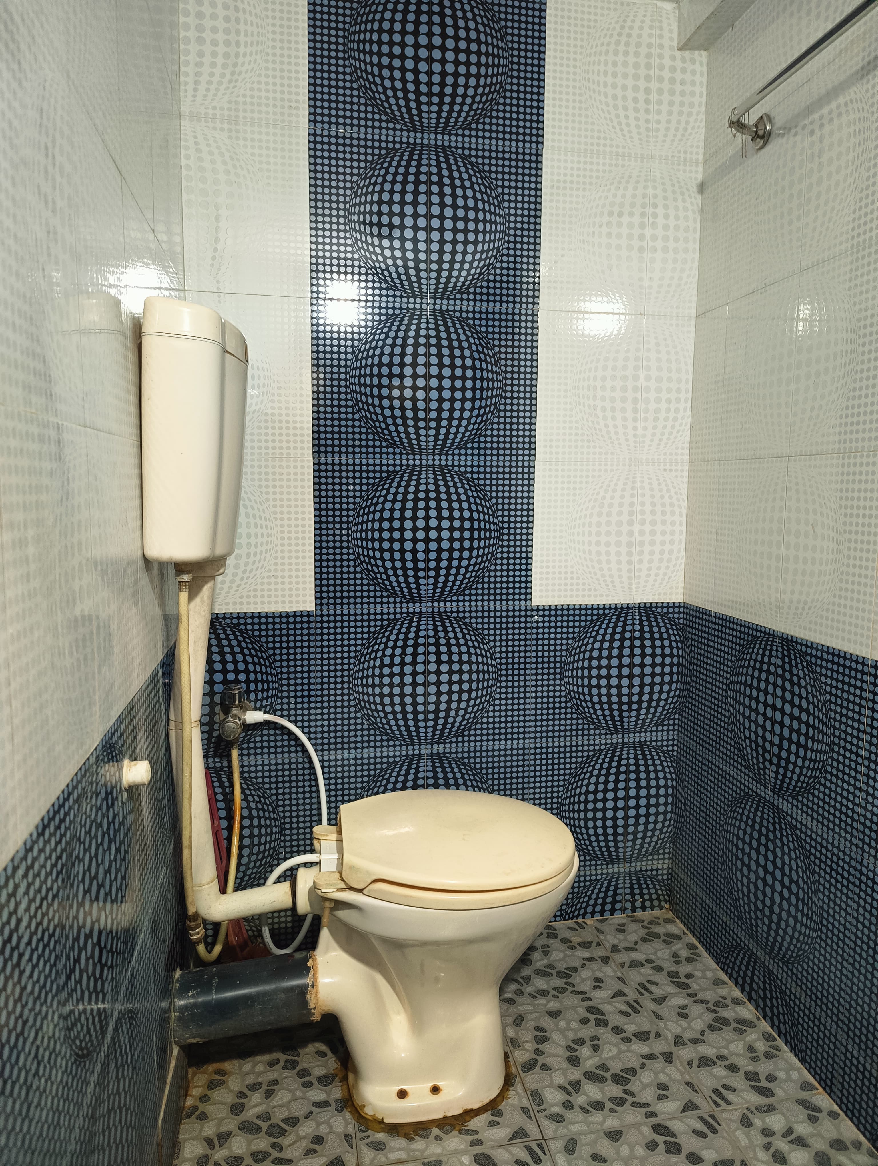 Chandrashobha Homestay - Tap to explore photos