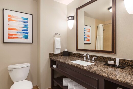 Embassy Suites by Hilton Orlando Lake Buena Vista South