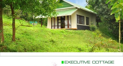 Punarjani Nature Friendly Resort Room Type - Executive Cottage