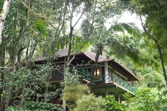 Coffee Land Retreat