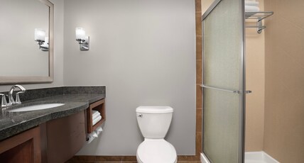 Holiday Inn Hotel & Suites DURANGO CENTRAL Room Type - 1 King Standard Walkin Shower