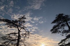 MnM Stays, Shimla