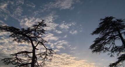 MnM Stays, Shimla Room Type - MnM Stays, Shimla