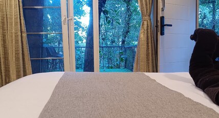 Golden Tree Coorg Room Type - Deluxe Villa