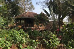 Vana at The Plenti House : Mindful Nilgiris