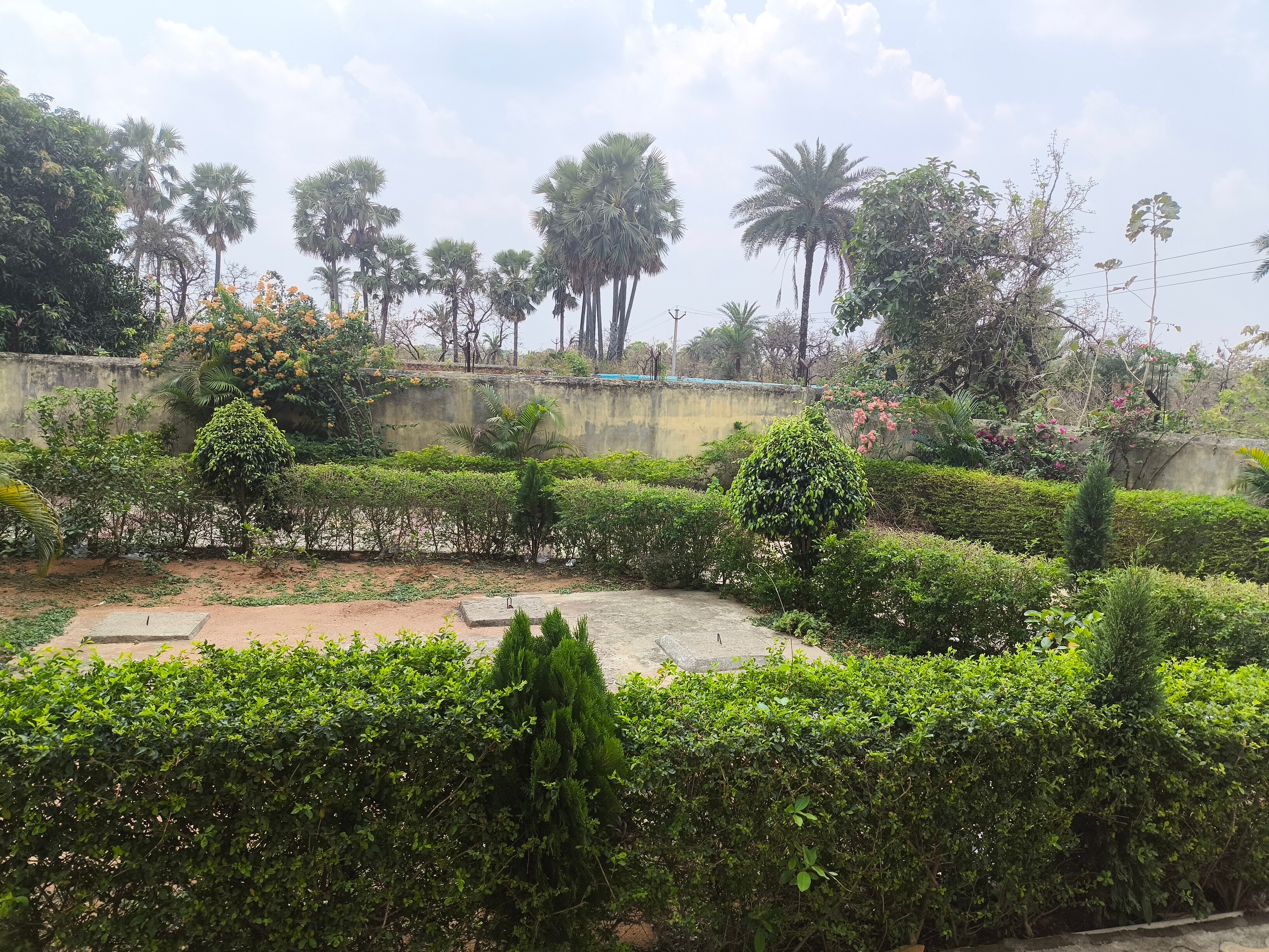 Sanjeevni Hotel & Resorts - Tap to explore photos