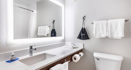 Holiday Inn Express Annapolis - Kent Island Room Type - Standard Room