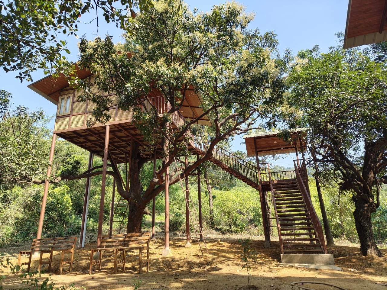 Wild Wood Tree House - Tap to explore photos