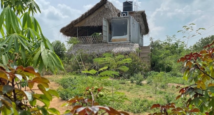 The Wilderness Retreat | Cottage & Restaurant Room Type - Periyar Cabin Hornbill + Hippo The Wilderness Retreat | Cottage & Restaurant Room Type - Periyar Cabin Hornbill + Hippo