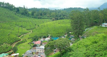 Nature Stay Kowsiga 3BHK Tea View Homestay Room Type - Nature Stay Kowsiga 3BHK Tea View Homestay
