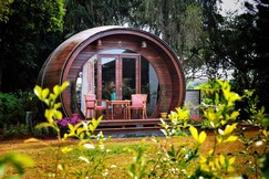 Regenta Resort Soma Vine Village