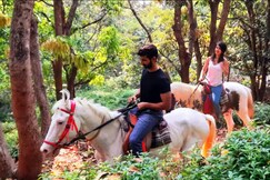 The Zen Forest Cottage