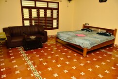 palm tree villa homestay