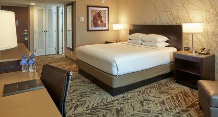 Hilton Cincinnati Airport Room Type - 1 KING ACC W  RI SHWR