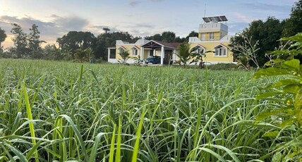 Gather For Green Organic Farmstay Room Type - Gather For Green Organic Farmstay