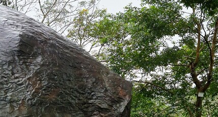 Rock Cave HomeStay - Mamalakandam Room Type - Rock Cave HomeStay - Mamalakandam