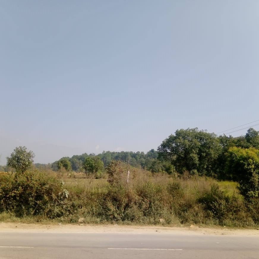 Pine Hill Hotel - Tap to explore photos