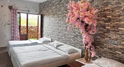HOTEL NATURE Room Type - Premium Room