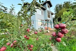 TAVISHA RIVER VIEW ORCHARD