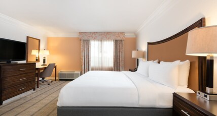 Holiday Inn FT. LAUDERDALE-AIRPORT Room Type - 1 King  Standard