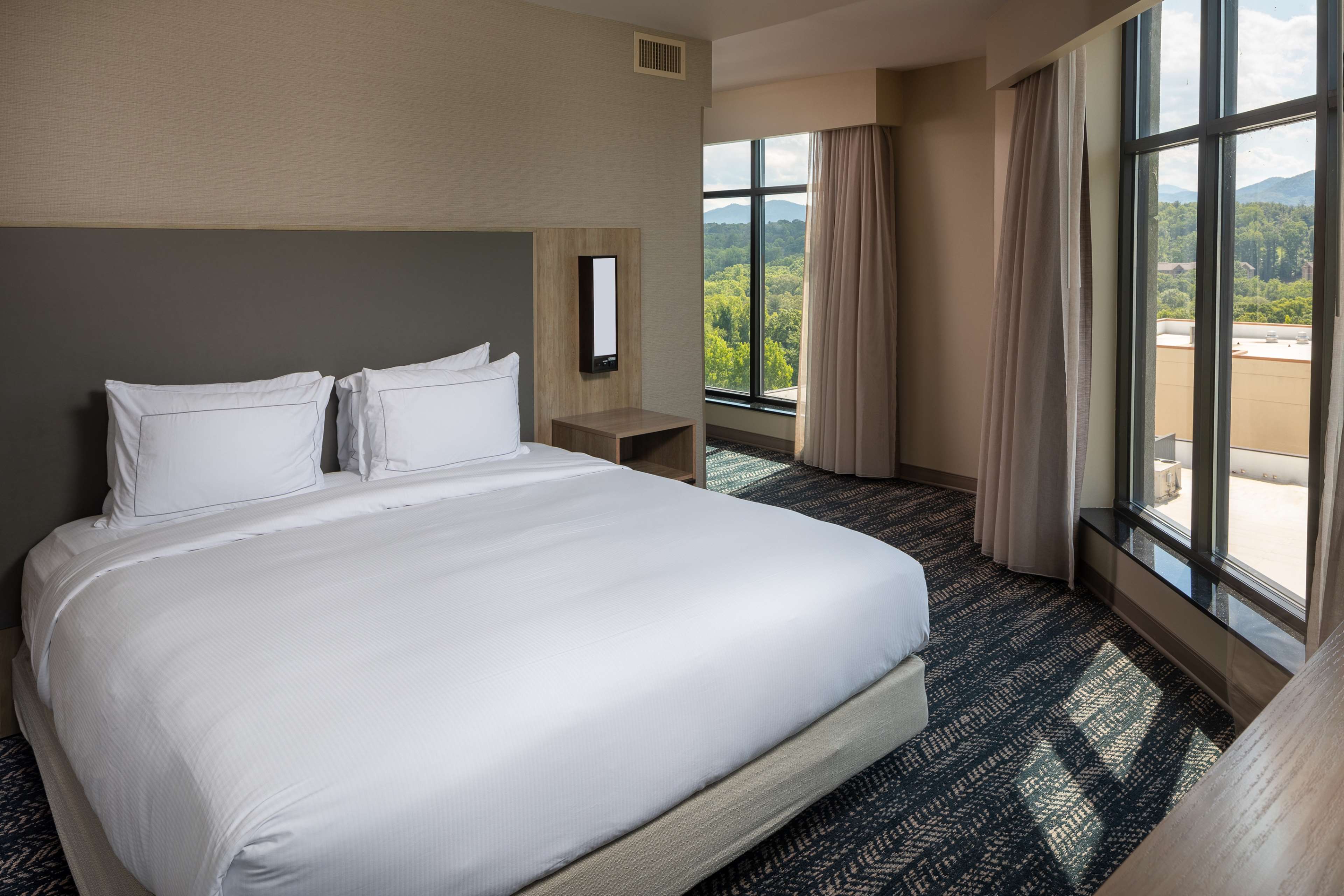Hilton Asheville Biltmore Park - Tap to explore photos