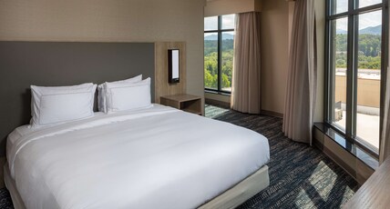Hilton Asheville Biltmore Park Room Type - 1 KING JR SUITE - SOFA BED