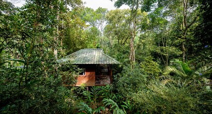 Monsoon Retreat By Daan Room Type - Standard Treehouse Cottage