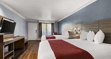 Best Western Moreno Hotel & Suites Room Type - 2 Double Beds, Mobility Accessible, Roll In Shower, Non-Smoking, Full Breakfast